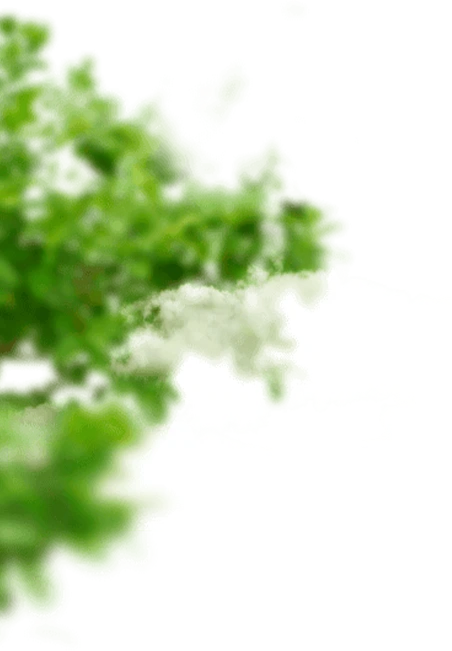 Rozmazana gałąź drzewa